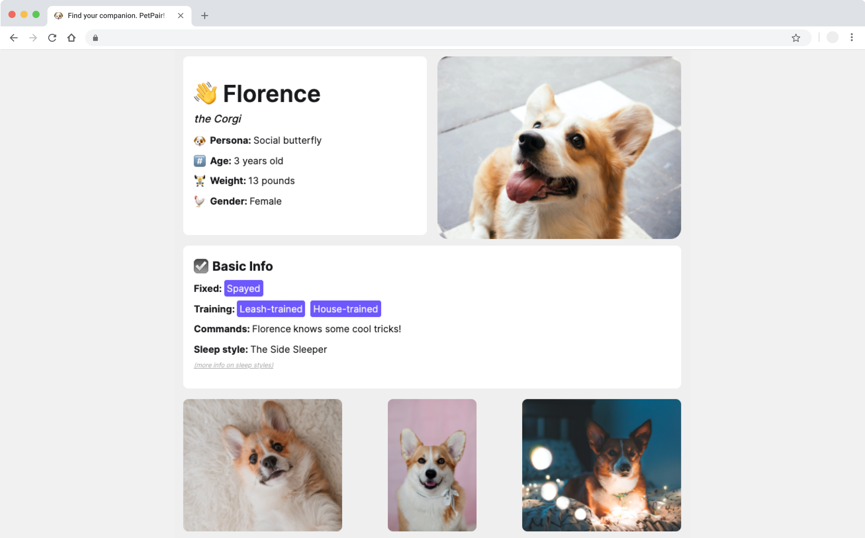 A visual demo of the PetPair site.